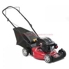 Petrol mower Push